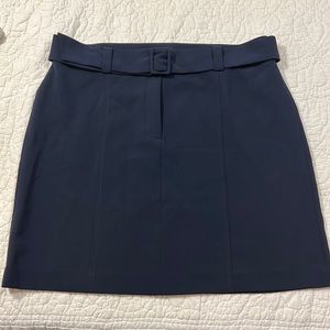 Ann Taylor Navy Blue Skirt